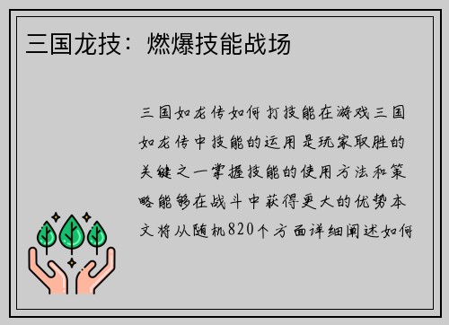 三国龙技：燃爆技能战场